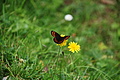 DSC07797 - Bernhard Saalfeld