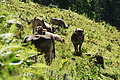 DSC07811 - Bernhard Saalfeld
