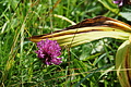 DSC07814 - Bernhard Saalfeld