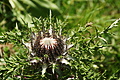 DSC07818 - Bernhard Saalfeld