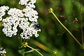 DSC07825 - Bernhard Saalfeld