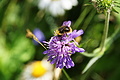 DSC07832 - Bernhard Saalfeld