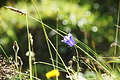 DSC07836 - Bernhard Saalfeld