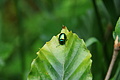 DSC07841 - Bernhard Saalfeld