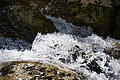DSC07846 - Bernhard Saalfeld