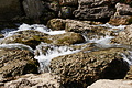 DSC07847 - Bernhard Saalfeld