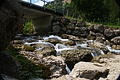 DSC07849 - Bernhard Saalfeld