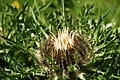 DSC07862 - Bernhard Saalfeld