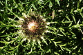 DSC07863 - Bernhard Saalfeld