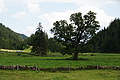 DSC07871 - Bernhard Saalfeld