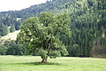 DSC07872 - Bernhard Saalfeld