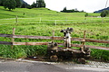 DSC07900 - Bernhard Saalfeld