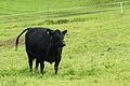 DSC07901 - Bernhard Saalfeld