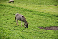 DSC07906 - Bernhard Saalfeld
