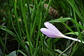 DSC07911 - Bernhard Saalfeld