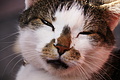 DSC07943 - Bernhard Saalfeld