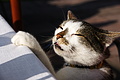 DSC07948 - Bernhard Saalfeld