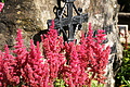 DSC07954 - Bernhard Saalfeld