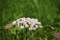 DSC07958 - Bernhard Saalfeld