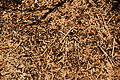DSC07959 - Bernhard Saalfeld