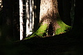 DSC07963 - Bernhard Saalfeld