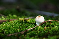 DSC07973 - Bernhard Saalfeld