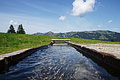 DSC07985 - Bernhard Saalfeld