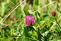 DSC07986 - Bernhard Saalfeld