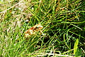 DSC07999 - Bernhard Saalfeld