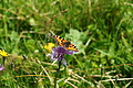 DSC08005 - Bernhard Saalfeld