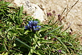 DSC08008 - Bernhard Saalfeld