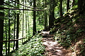 DSC08015 - Bernhard Saalfeld