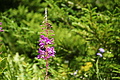 DSC08017 - Bernhard Saalfeld