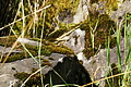 DSC08029 - Bernhard Saalfeld