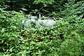 DSC08032 - Bernhard Saalfeld