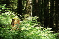 DSC08040 - Bernhard Saalfeld