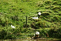 DSC08056 - Bernhard Saalfeld