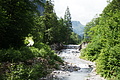 DSC08062 - Bernhard Saalfeld