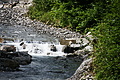 DSC08063 - Bernhard Saalfeld