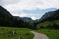 DSC08065 - Bernhard Saalfeld