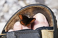 DSC08068 - Bernhard Saalfeld