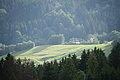 DSC08082 - Bernhard Saalfeld