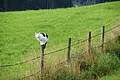 DSC08096 - Bernhard Saalfeld