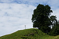 DSC08099 - Bernhard Saalfeld