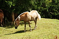 DSC08103 - Bernhard Saalfeld