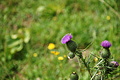 DSC08108 - Bernhard Saalfeld