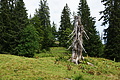 DSC08112 - Bernhard Saalfeld
