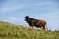 DSC08123 - Bernhard Saalfeld
