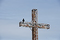 DSC08128 - Bernhard Saalfeld