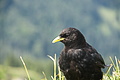 DSC08131 - Bernhard Saalfeld